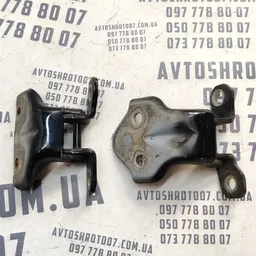 Дверна завіса Hyundai Sonata IV (98-05) 2.0 бенз задня права