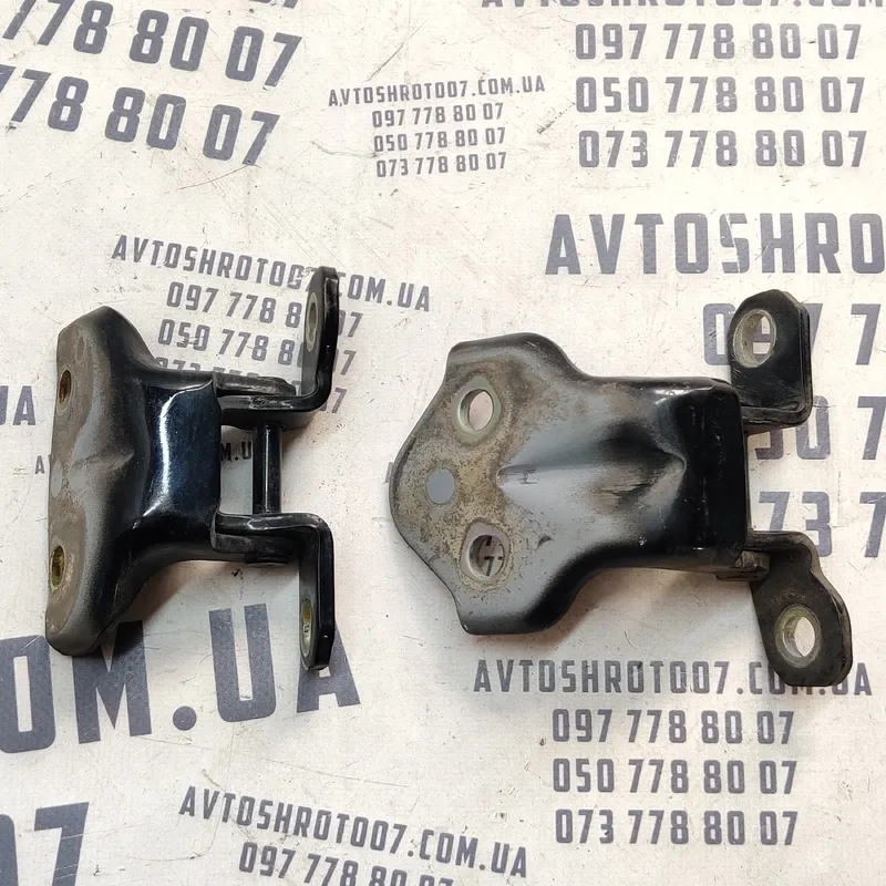 Дверна завіса Hyundai Sonata IV (98-05) 2.0 бенз задня права