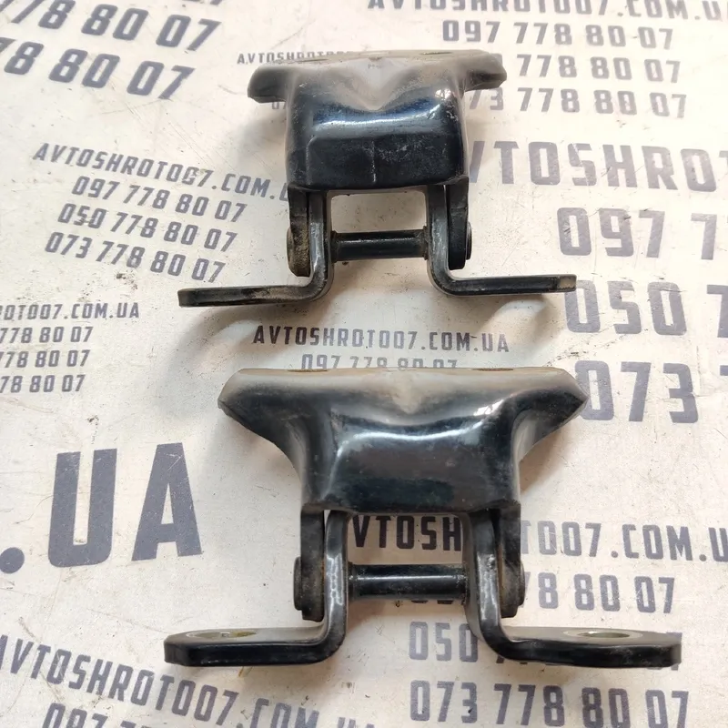 Дверна завіса Hyundai Sonata IV (98-05) 2.0 бенз задня права