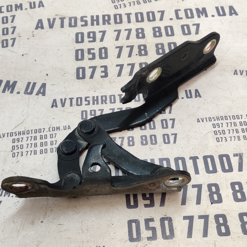 Петля капоту Hyundai Sonata IV (98-04) 2.0 Бензин ліва фото 2