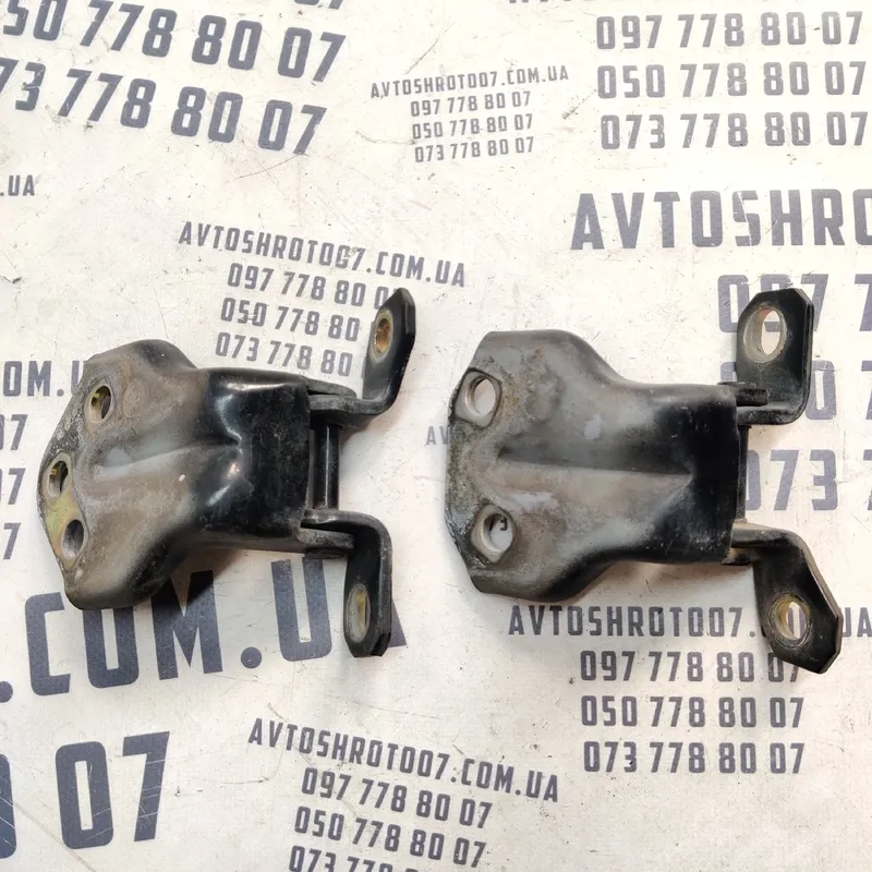 Дверна завіса Hyundai Sonata IV (98-04) 2.0 Бензин перед. ПР