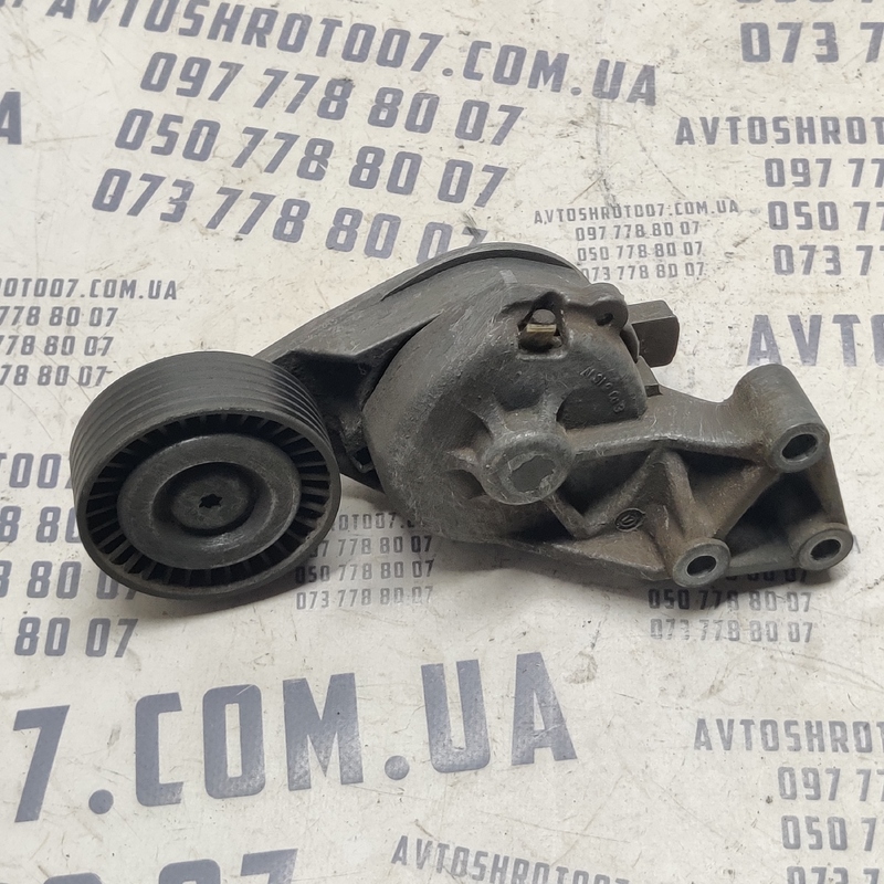 Ролик-натяжник ремня VW Bora (98-05) 1.9 TDI OEM 03722010001