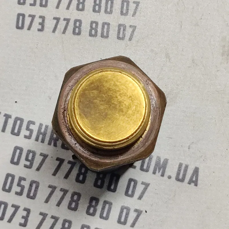 Датчик температури VW Bora (98-05) 1.9 TDI OEM 1j0959481a