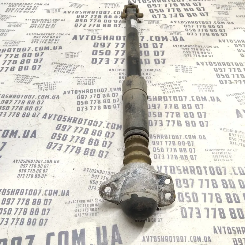 Амортизатор VW Bora (98-05) 1.9 TDI задній OEM 556273