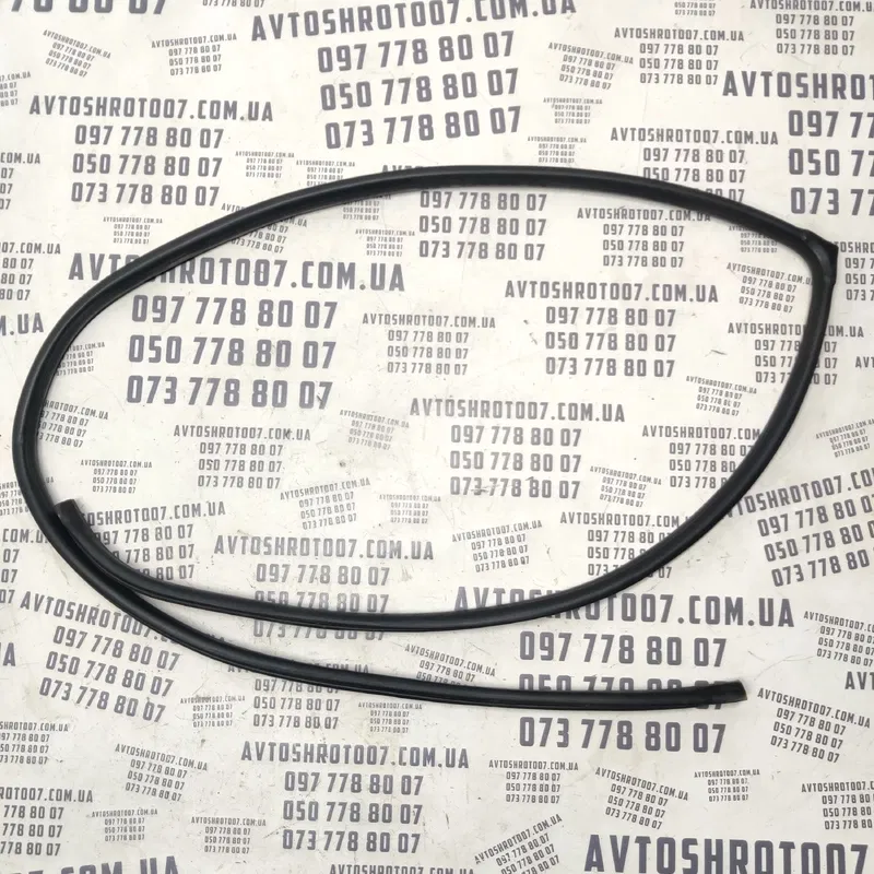 Ущільнювач Hyundai Sonata IV (98-05) 2.0 зад. пр. OEM 040214