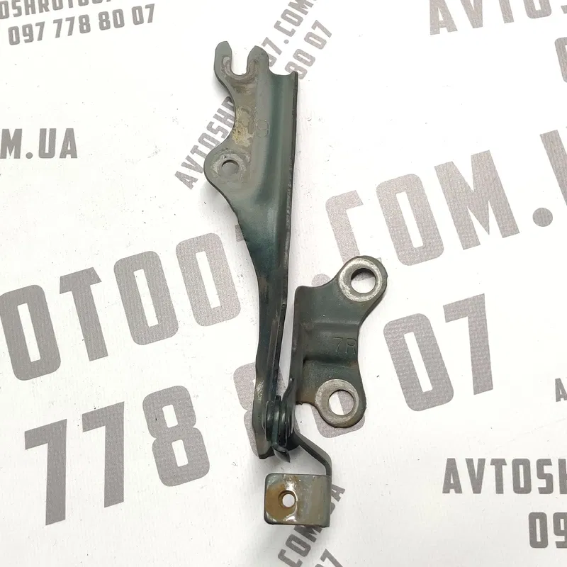 Петля капота Mazda Premacy (99-05) 1.8 Бензин Права