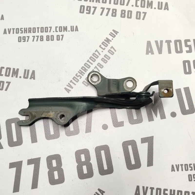 Петля капота Mazda Premacy (99-05) 1.8 Бензин Права