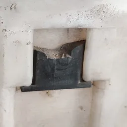 Бачок омивача лобового Ford Focus MK1 (98-04) OEM xs4117618 фото 4