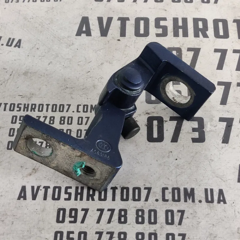 Дверна завіса VW Passat B8 USA (15-22) OEM 7N0831402A