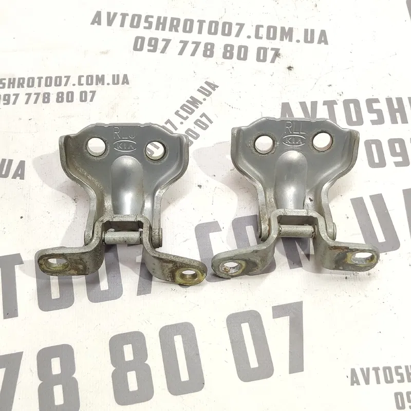 Дверна завіса Kia Sorento 1 (02-09) 2.5 CRDi задня ліва