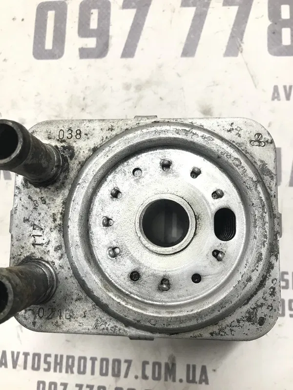 Радіатор масляний Volkswagen Passat B5+ (00-05) 1.9 Diesel