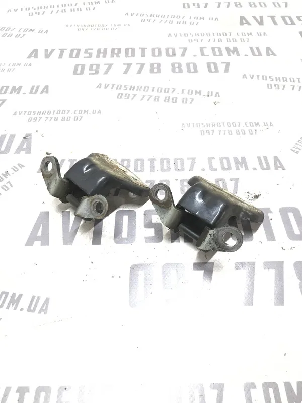Дверна завіса Chevrolet Tacuma (00-08) 2.0 Бензин задня ліва