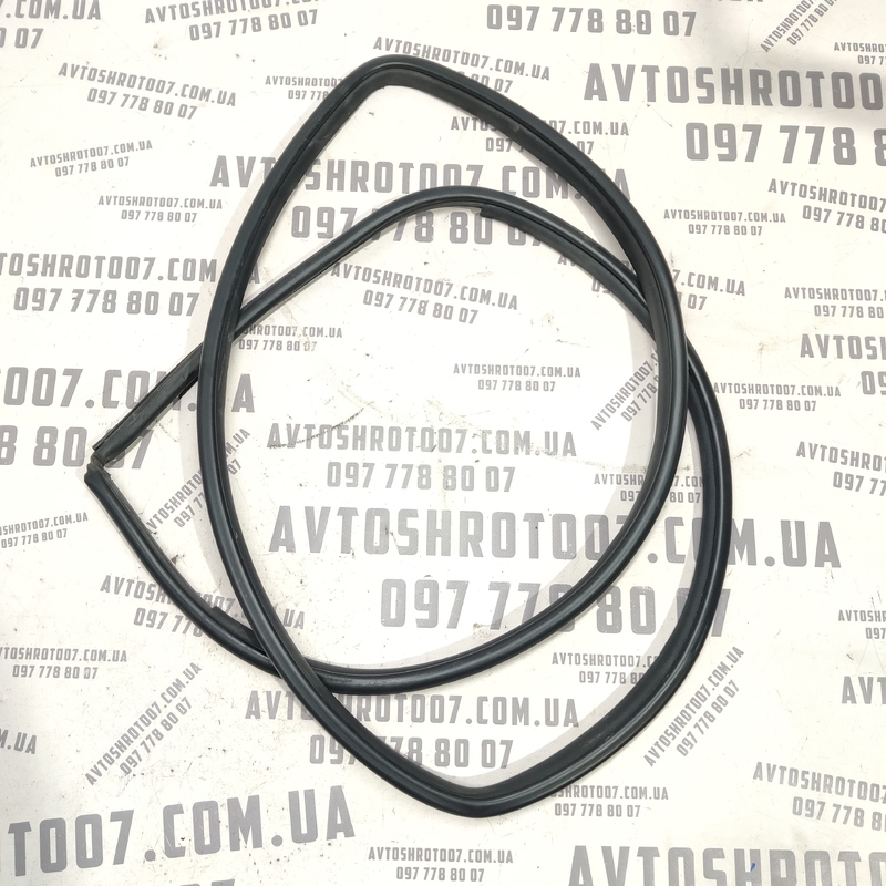 Ущільнювач дверей Toyota Auris 07-12 1.6 Benz передній лівий