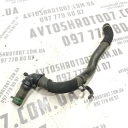Трубка охолодження Renault Grand Scenic 3 (09-16) 1.6 Дизель