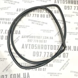Ущільнювач дверей Toyota Auris 07-12 1.6 Benz передній лівий фото 2
