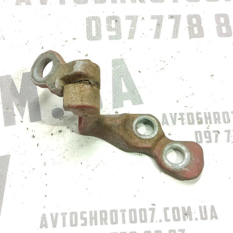 Дверна завіса пер. права нижня Ford Focus MK2 (04-11) 1.6D