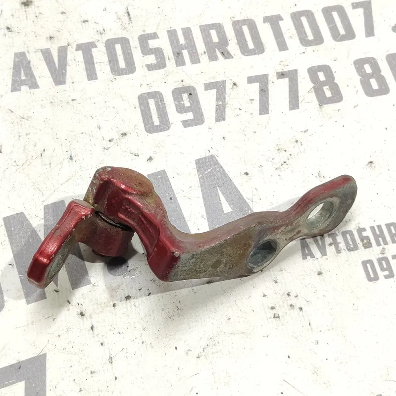 Дверна завіса пер. права нижня Ford Focus MK2 (04-11) 1.6D