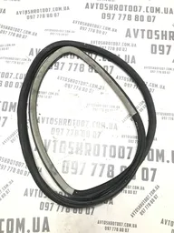 Дверний ущільнювач VW Passat B5+ (00-05) 1.9D задній правий