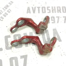 Дверна завіса Ford Focus MK2 (04-11) 1.6D задня ліва