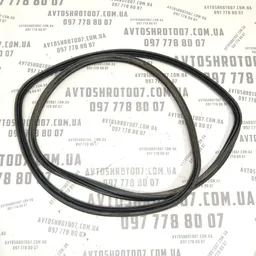 Дверний ущільнювач задній Nissan X-Trail T30 (01-07) 2.5 фото 2
