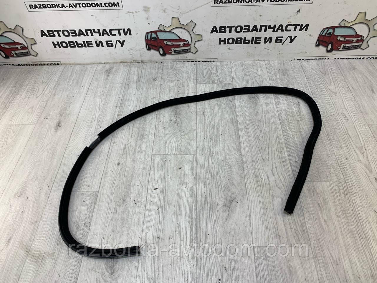 Ущільнювальна гумка дверей задньої правої Skoda Superb (02-08) OE:3U5839440 B41 фото 2