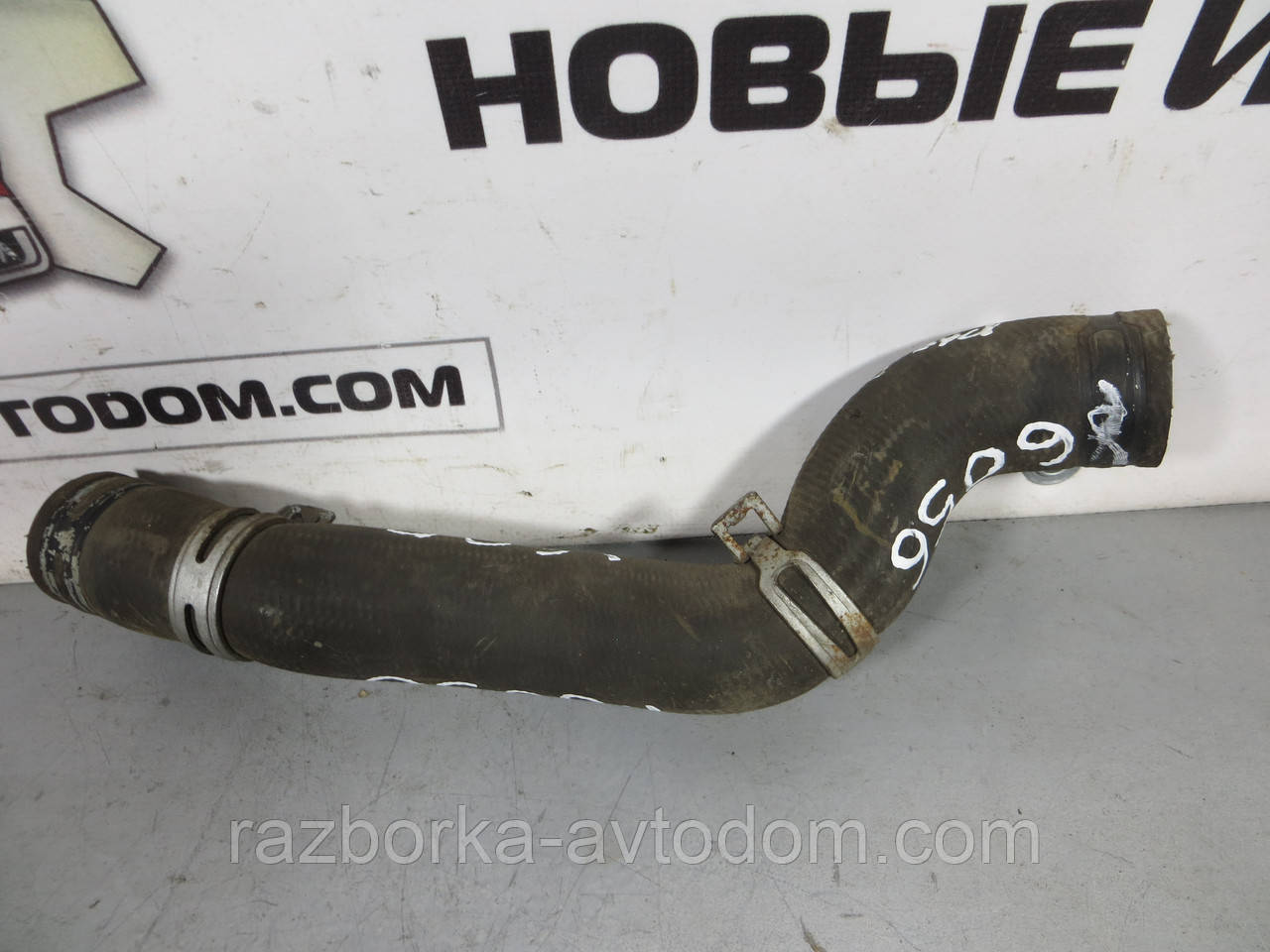 Патрубок радіатора охолодження верхній 2.0 i Peugeot 307 (2001-2008), Peugeot 206, Citroen C4 ОЕ: 1343AG