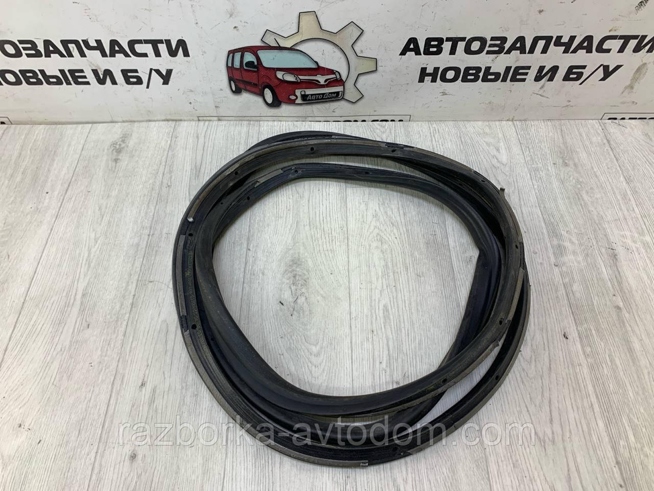Ущільнювач дверей задньої правої Ford Mondeo (07-14) OE:1534576 фото 2