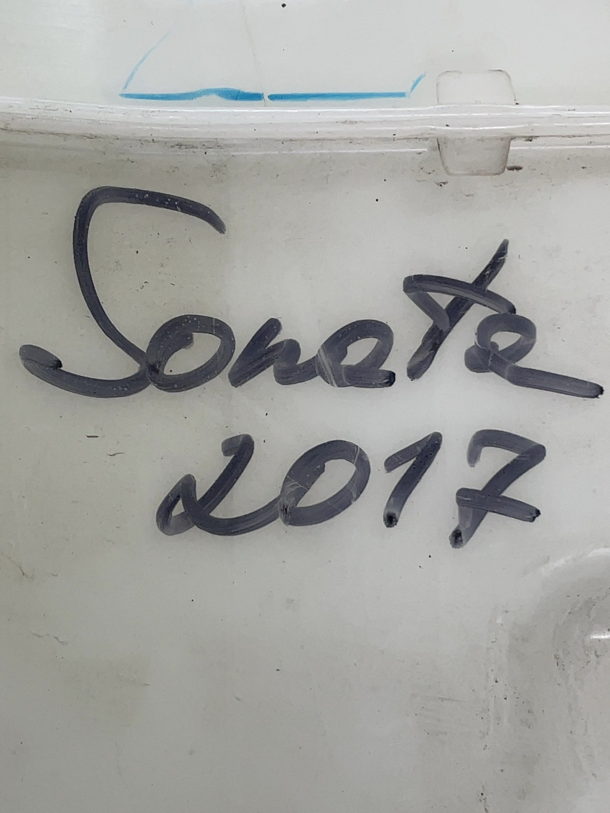 Насос омивача Hyundai Sonata LF (14-19) OEM 98510C1000